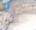 maxiol_Angels_Sanctuary_wallpaper_30503_.jpg - 1024x768 242.54kB 