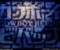 maxiol_Cowboy_Bebop_wallpaper_60030_.jpg - 1024x768 176.02kB 