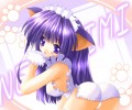 maxiol_Neko_Cat_Girls_art_89824_.jpg - 1024x768 215.85kB 